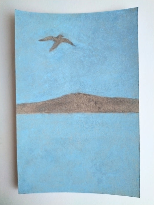sea gull