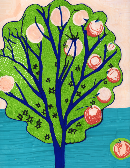 fruit