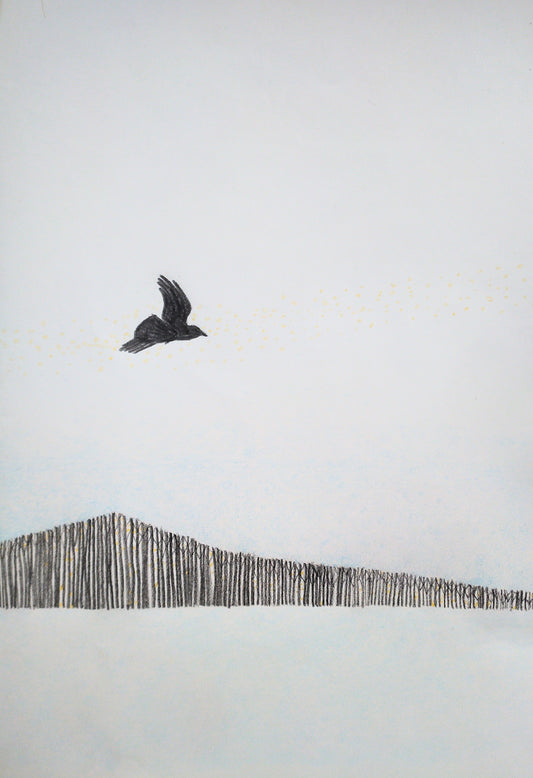 budd lake feather + black bird